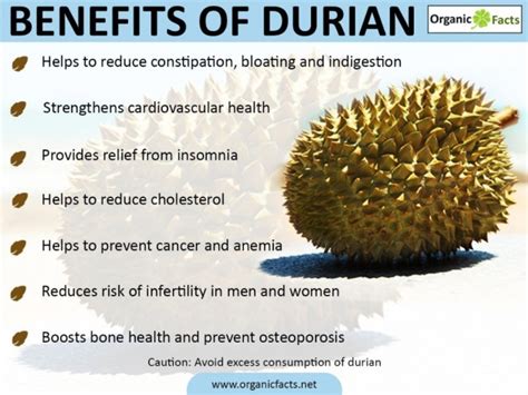 Durian: Un Esplorazione Profonda delle Proprietà e Applicazioni Industriali di Questo Frutto Inaspettato!