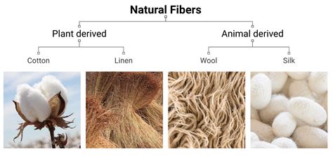  Wooll Why Is This Ancient Fiber Still Relevant in Modern Textile Manufacturing?